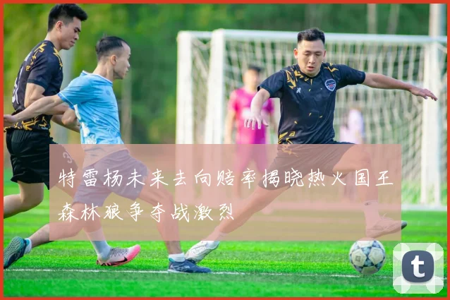 特雷杨未来去向赔率揭晓热火国王森林狼争夺战激烈