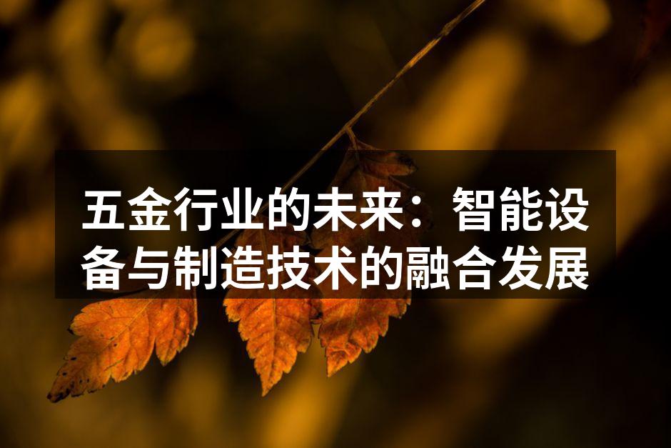 五金行业的未来：智能设备与制造技术的融合发展
